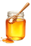 freepik__a-jar-honey-watercolor-illustration__18893-1.png