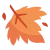 maple-leaf